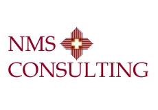 NMSConsulting Digi Suggest Digi Suggest NMS Consulting