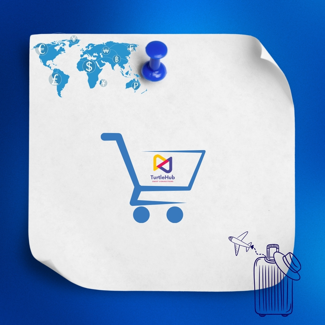 Meet Our Client Turtle Hub