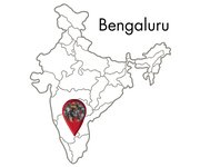 Digital Marketing in Bengaluru